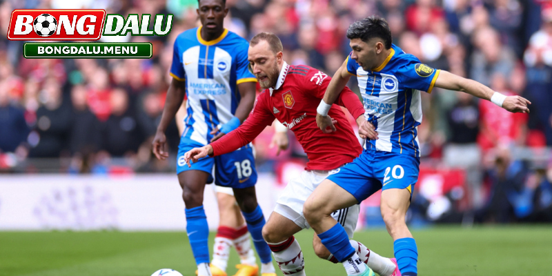 Soi kèo Brighton vs Manchester United 22:00 24/05 – Nhận định vòng cuối Ngoại hạng Anh