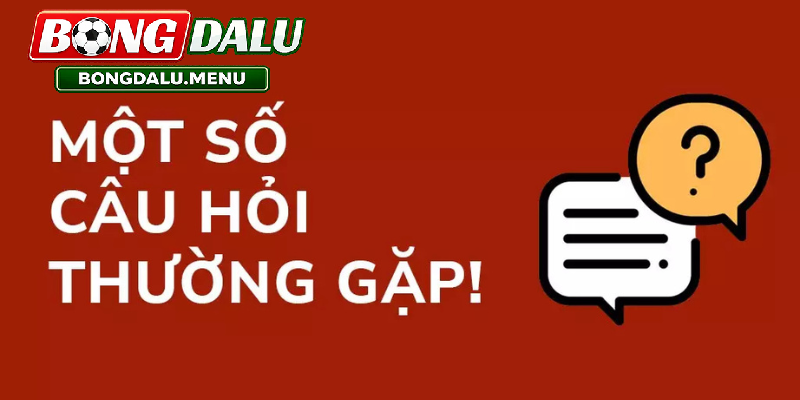 Giá Trị Thực Tiễn Của Câu Hỏi Thường Gặp